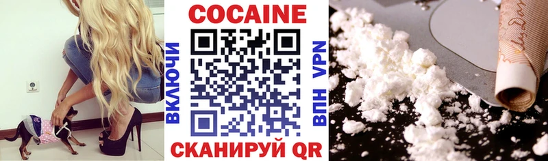 MEGA ТОР  цена   Новотроицк  COCAIN FishScale 