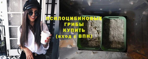 бошки Верхнеуральск