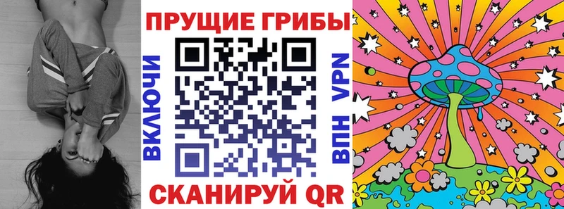 дарнет шоп  Новотроицк  Псилоцибиновые грибы мицелий 