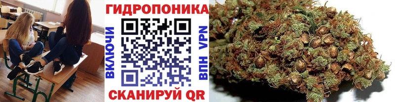 Канабис VHQ  Новотроицк 